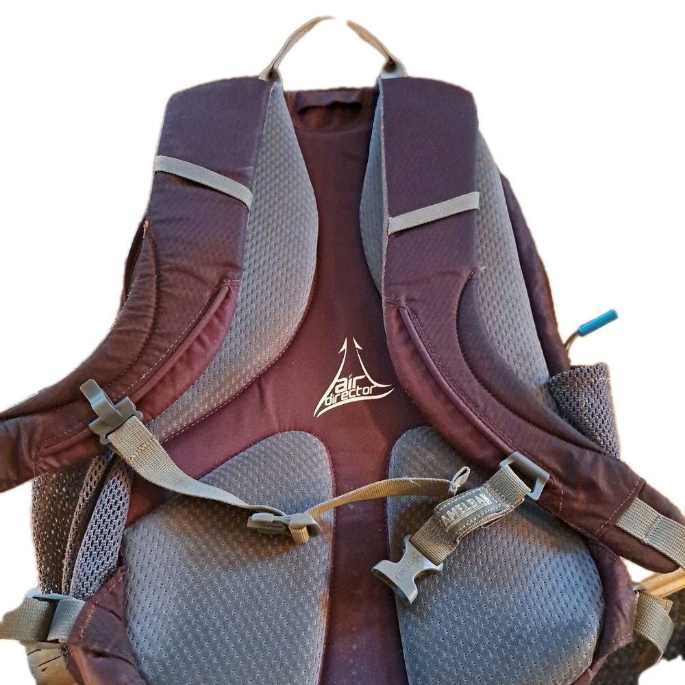 Fuchsia CamelBak Day Star Hydration Pack Cycling Hiking Backpack - *No Bladder* - Picture 3 of 7